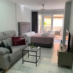 Kentia , Malaga Spain